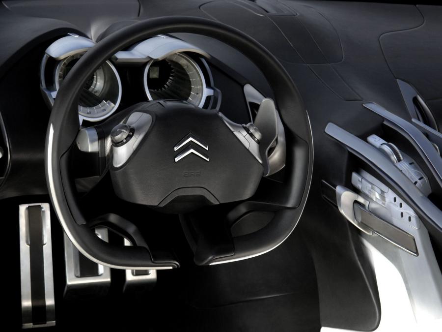 Citroen C-Metisse Concept 2006 года  (фото 9 из 130)